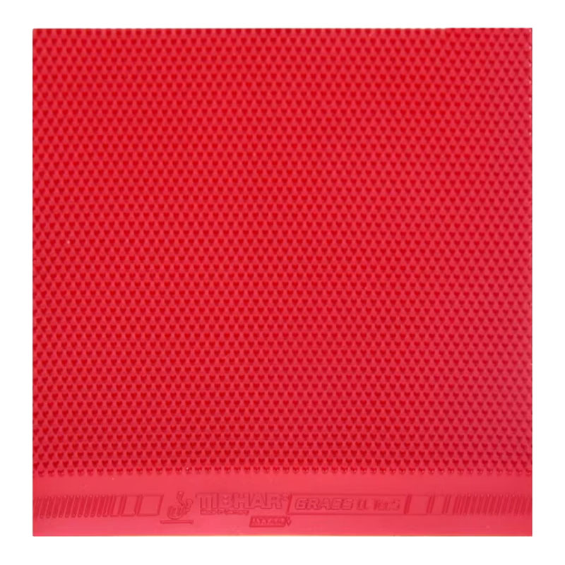 TIBHAR Grass D.TecS 탁구 고무 시트 롱 - Table Tennis Rubber Protective Film 리뷰 및 가격