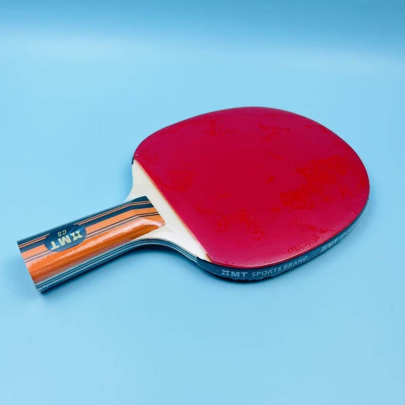 테이블 테니스 라켓(한쪽은 핍이 있는 것, 한쪽은 핍이 - Table Tennis Post 리뷰 및 가격