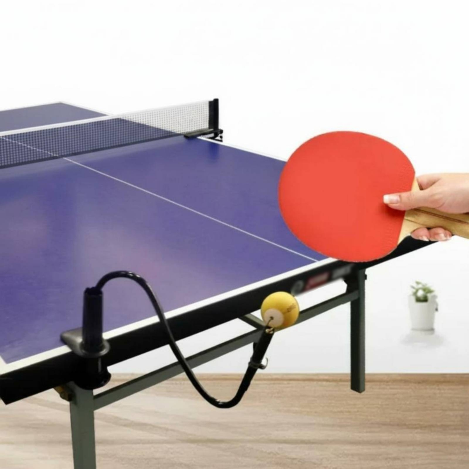 탁구 솔로 연습 보조기구 유연한 튜브 구조 탁구 리바운 - Table Tennis Youtube 리뷰 및 가격